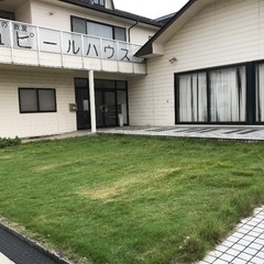 小学生向け英語の先生募集の画像
