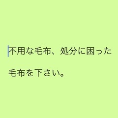 要らなくなった毛布を下さい！沢山探しています。