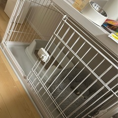 小型犬飼い始めに必要なグッズ