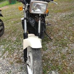 VT250F MC15 書類ありの画像