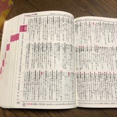 チャレンジ小学国語辞典の画像