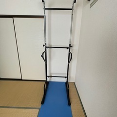 ぶら下がり健康器具 懸垂