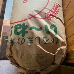 令和６年産コシヒカリ30kg1袋のみ