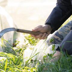 🌱空き地の草刈り🌿草むしり🌲木の伐採【🉐地域限定格安プラン🉐】 - 甲府市