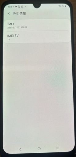 その他 Galaxy A30 SCV43 au