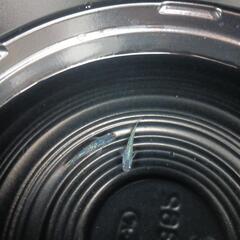 9/16めだか販売の画像