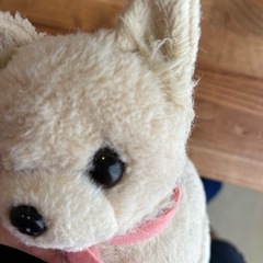 犬用おもちゃの画像