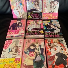 少女漫画　小説