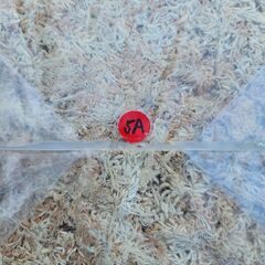 高級乾燥水苔（100g）　ニュージーランド産5A