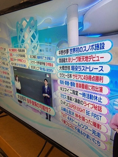 アイリスオオヤマテレビ32WB10P