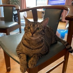 里親を探してます。