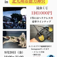 🌟告知🌟カブトムシ・クワガタくじ開催します！