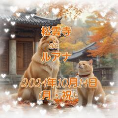 松雲寺 DE ルアナ 2