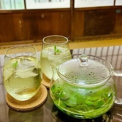 ガネーシャ様がいる熊本会館へ遊びに来ませんか✨ - 荒尾市