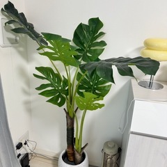 【観葉植物】ニトリ／フェイクグリーン／モンステラの画像