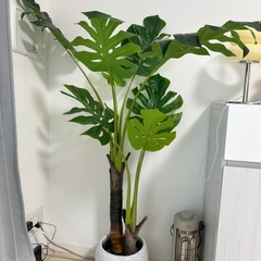 【観葉植物】ニトリ／フェイクグリーン／モンステラの画像