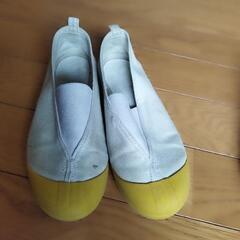 体育館シューズ　美品