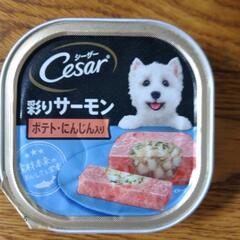 小型犬フード