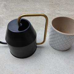 ＩＫＥＡ　イケア　水差しと植木鉢。綺麗です😊