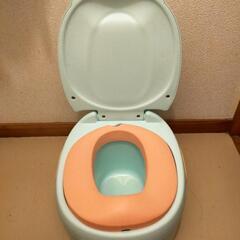 トイレトレーニングの画像