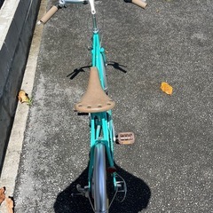 PISTOIA自転車の画像