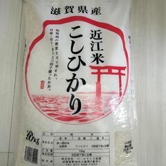 お米 こしひかり 10kg