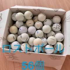 56個　ゴルフ　ロストボール　ミズノ　スリクソン　など　