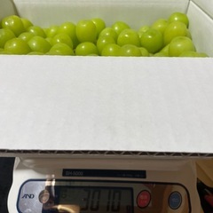 【完売】【予約受付中】粒3kgの画像