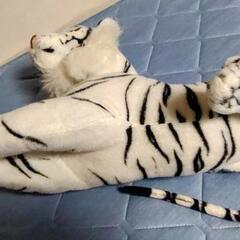 ぬいぐるみ【ホワイトタイガー】の画像