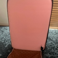 【値下げ】⭐️⭐️犬用ステップ⭐️⭐️ の画像