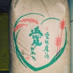 玄米３０ｋｇ【ゆめのまい】