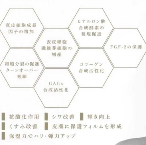 リジェナ セラム 25ml 2本美容液 ヒト幹細胞培養液 日本製 シミ くすみ 高濃度美容液