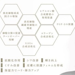 リジェナ セラム 25ml 2本美容液 ヒト幹細胞培養液 日本製 シミ くすみ 高濃度美容液の画像