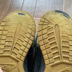 ナイキ DUNK 28.0 センチの画像