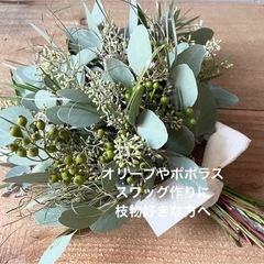 ❤️ユーカリポポラス　オリーブ　枝