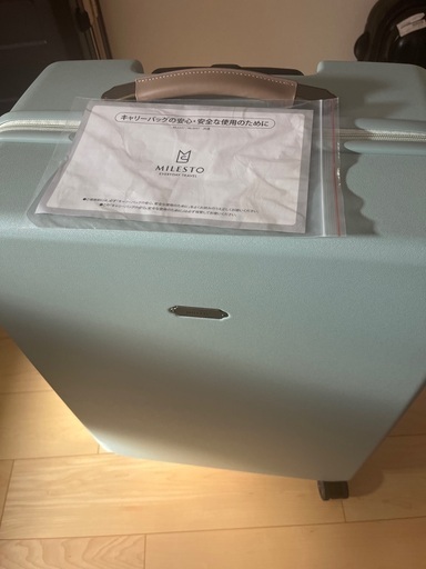 未使用キャリーバッグ