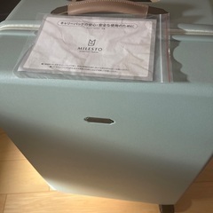 未使用キャリーバッグ