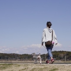 千葉県印西市でペットシッターになりませんか？現在大変ご依頼の多い地域です。の画像