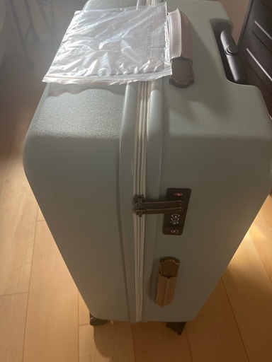 未使用キャリーバッグ