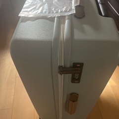 未使用キャリーバッグの画像