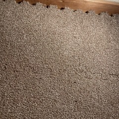 ニトリ　ジョイントマットの画像