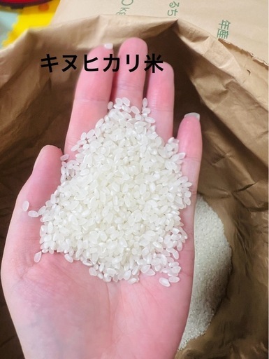 令和6年度米 新米　キヌヒカリ米　精米済み 白米　美味しい米　27キロ　11900円