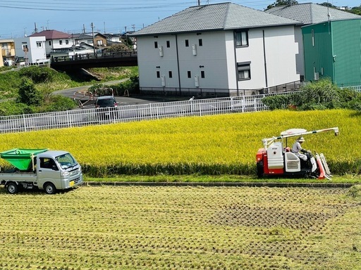 令和6年度米 新米　キヌヒカリ米　精米済み 白米　美味しい米　27キロ　11900円