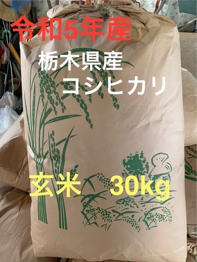茶道具　張子人形　白張子犬　干支　香合　在銘　C　6413 茶道具 張子人形 白張子犬 干支 香合 在銘 C 6413 【公式通販】