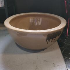 瓶 鰻 タレ入れ 器 いかがでしょうか？