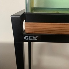 60センチ水槽セット⭐︎レインボースネークヘッド生体込みの画像
