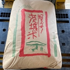 （ア）令和６年産　新米コシヒカリ　玄米　30kg