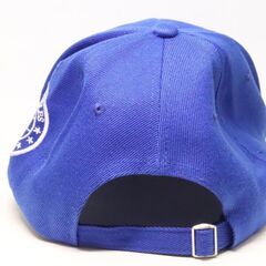 LAキャップの画像