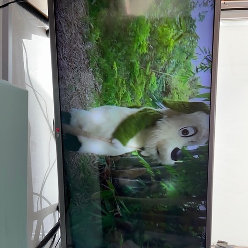 値下げ液晶テレビ訳あり