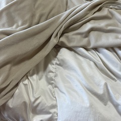 発熱する羽毛　掛け布団　ニトリの画像